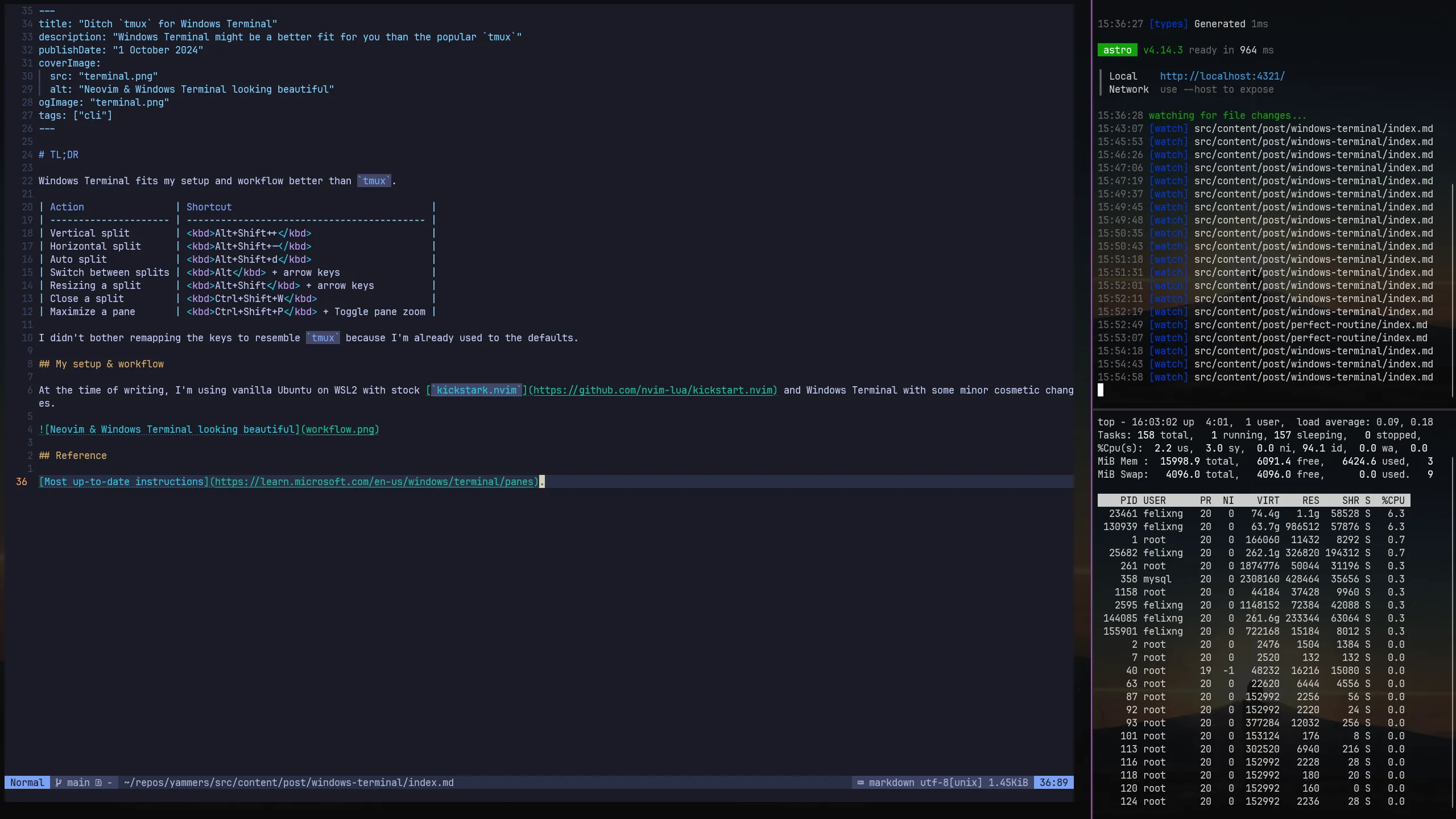 Neovim &#x26; Windows Terminal looking beautiful